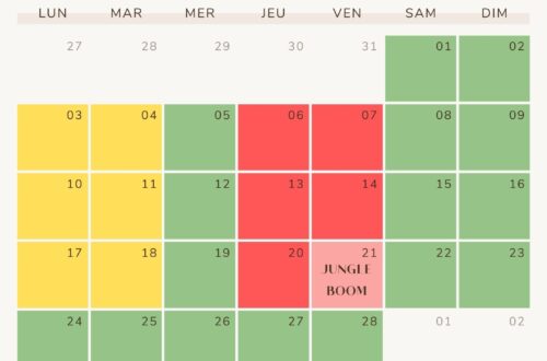 calendrier de février 2025